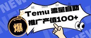 专注于Temu商家提供精准曝光浏览量，助力店铺排名提升和转化，单机日收入80-130【揭秘】-天韵资源网