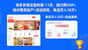 拼多多稳定盈利课-11月,强付费SOP+微付费高投产+活动矩阵,单店月入10w+-天韵资源网