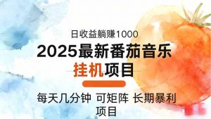 2025年最新番茄音乐人挂机项目，每天几分钟，月入1000＋，可矩阵，一台...-天韵资源网