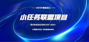 小任务联盟项目:一台电脑每天只需10分钟,轻松简单稳定-天韵资源网