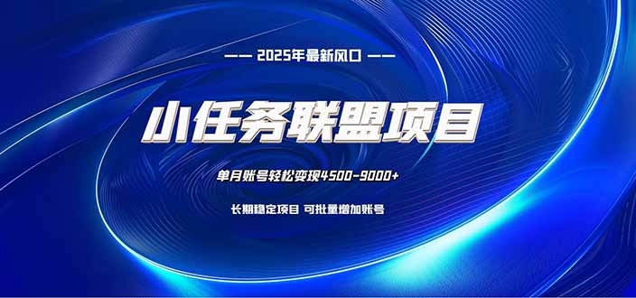小任务联盟项目:一台电脑每天只需10分钟,轻松简单稳定-天韵资源网