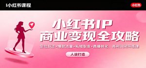 小红书IP商业变现全攻略：定位跃迁+爆款流量+私域裂变+直播转化，高利润闭环搭建-天韵资源网