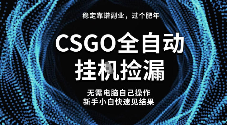 【稳定副业】全球最热门游戏CSGO全自动捡漏，最新玩法，新手小白日入5张+【揭秘】-天韵资源网