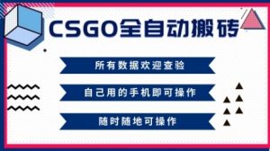 CSGO全自动搬砖，年底钱回家好项目，当天可拿到结果，新手小白轻松月入1W+【揭秘】-天韵资源网
