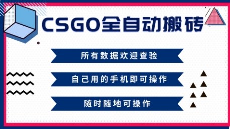 CSGO全自动搬砖，年底钱回家好项目，当天可拿到结果，新手小白轻松月入1W+【揭秘】-天韵资源网