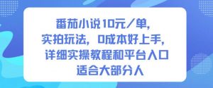 番茄小说10米每单,实拍玩法,0成本好上手,详细实操教程和平台入口适合大部分人-天韵资源网