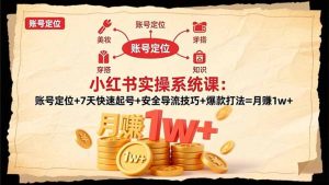 小红书实操系统课：账号定位+7天快速起号+安全导流技巧+爆款打法=月赚1w+-天韵资源网