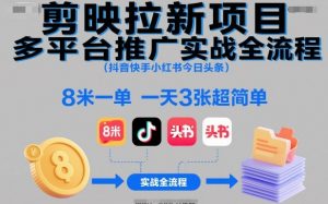 剪映拉新项目多平台推广实战全流程(抖音快手小红书今日头条),8米一单,一天3张超简单-天韵资源网