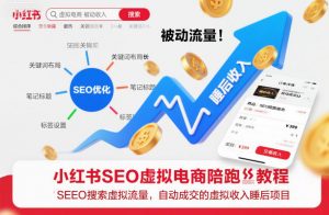 小红书SEO虚拟电商陪跑教程，实现seo搜索被动流量，自动成交的被动收入睡后项目-天韵资源网