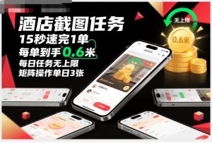 酒店截图任务,15秒速完1单,每单到手0.6米,每日任务无上限,全网首发玩法,矩阵操作单日3张【揭秘】-天韵资源网