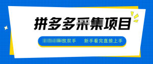 拼多多电商采集，一小时50+，操作简单，零投资-天韵资源网