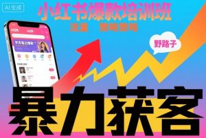 小红书爆款培训班，小红书获客野路子流量打法，暴力持续获客-天韵资源网