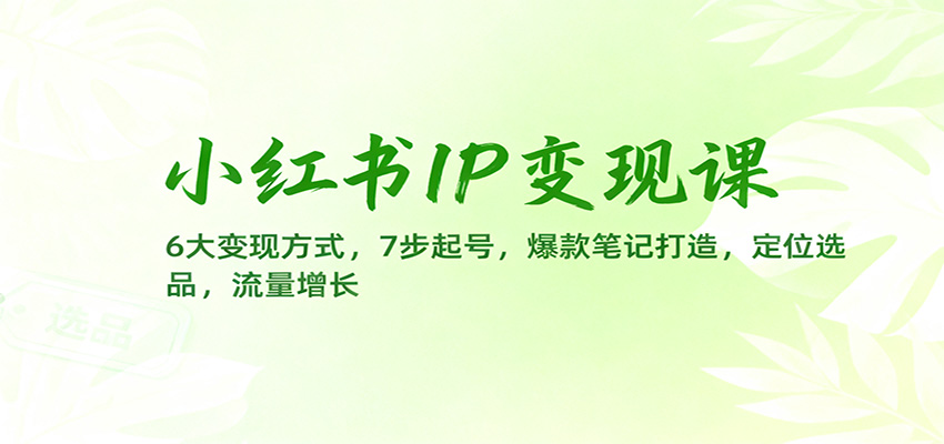 小红书IP变现课：6大变现方式，7步起号，爆款笔记打造，定位选品，流量增长-天韵资源网