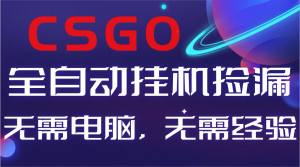 【副业好项目】全球火爆游戏CSGO自动捡漏，新手小白日入500+-天韵资源网