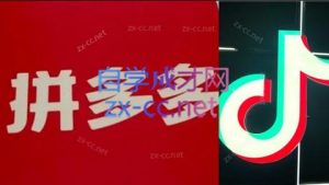 老陶电商·拼多多+抖音小店无货源开店(更新11月)-天韵资源网