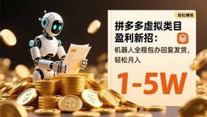 拼多多虚拟类目盈利新招：机器人全程包办回复发货，轻松月入 1-5W-天韵资源网