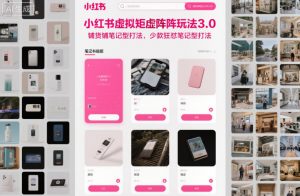 小红书虚拟矩阵玩法3.0，铺货铺笔记型打法，少款狂怼笔记型打法-天韵资源网