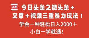 今日头条之微头条＋文章＋视频三重暴力玩法，学会一种轻松日入2000＋，...-天韵资源网