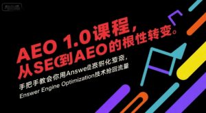 AEO 1.0 课程，从SEO到AE0的基命性转变，手把手教会你用AnswerEngineOptimization技术抢回流量(更新)-天韵资源网