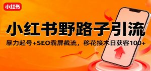 小红书野路子引流,暴力起号+SEO霸屏截流,移花接木日获客100+-天韵资源网