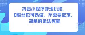 抖音小程序变现玩法，0粉丝也可以做，不需要成本，简单的玩法教程-天韵资源网