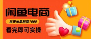 闲鱼高利润电商，当天上架当天出单，一单利润300-天韵资源网