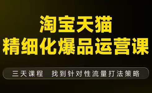 猫课子幽·淘宝天猫精细化爆品运营【音频+字幕+文档】(9月12-14杭州线下课)-天韵资源网