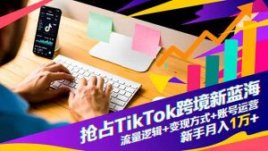 抢占TikTok跨境新蓝海：流量逻辑+变现方式+账号运营，新手月入1万+-天韵资源网