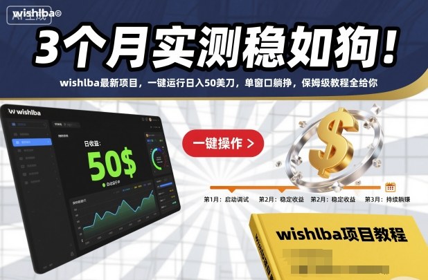 3个月实测稳如狗!wishlba最新项目,一键运行日入50美刀,单窗口躺挣,保姆级教程全给你【揭秘】-天韵资源网
