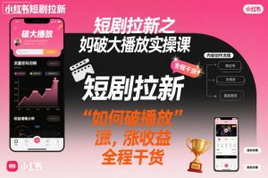 短剧拉新之小红书如何破大播放实操课，如何破播放，涨收益，全程干货-天韵资源网