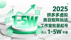 2025 拼多多虚拟类目矩阵玩法,工作室批量起号,月入 1-5W 不难-天韵资源网