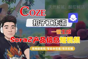 Coze扣子智能体工作流一键生成“SORA2产品信息“短视频,全流程保姆级教学-天韵资源网
