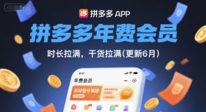 拼多多年费会员，实经验分享操，时长拉满，干货拉满(更新11月)-天韵资源网