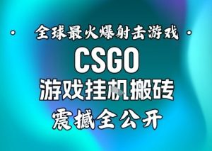 【年底大揭秘】基于全球最火爆的射击CSGO游戏挂G搬砖,日入5张+,震撼公开-天韵资源网