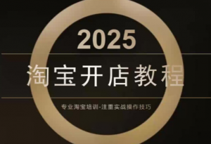 老邓电商·淘宝开店运营教程直通车(更新11月)-天韵资源网