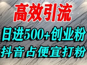 怎么打创业粉？抖音利用占便宜心理引流创业粉，单人日引500+精准流量-天韵资源网