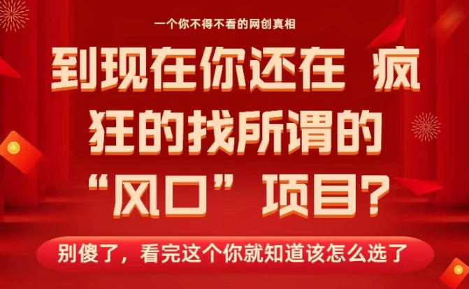 马上26年了，你还在找所谓的风口项目？别傻了，看完这个你全都懂了！【揭秘】-天韵资源网