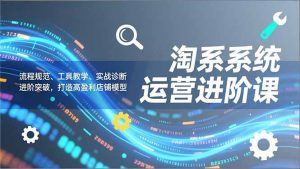 淘系系统运营进阶课2.0，流程规范、工具教学、实战诊断，进阶突破，打造高盈利店铺模型-天韵资源网