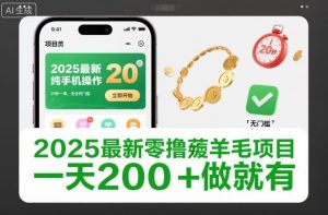 2025最新零撸薅羊毛项目，纯手机操作，20秒一单，无任何门槛，一天200+做就有【揭秘】-天韵资源网