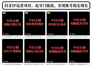 抖音IP运营项目，抖音今日主题玩法，起号门槛低，实现账号稳定增长-天韵资源网