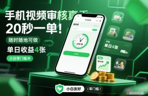 手机视频审核真香！20秒一单，随时随地可做，单日收益4张，小白零门槛冲【揭秘】-天韵资源网