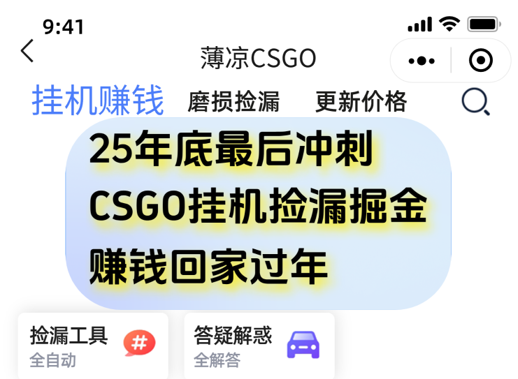 12月年底抓紧最后一个月,用CSGO游戏挂机捡漏掘金赚钱掘金,一部手机轻松日入500+-天韵资源网