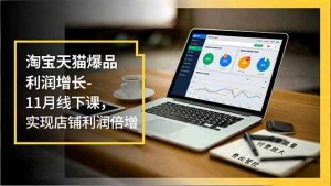 淘宝天猫爆品利润增长-11月线下课,免费流量、付费放大、费比管控,实现店铺利润倍增-天韵资源网