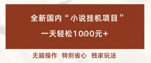 全新国内小说挂G项目,多窗口无脑跑,一天轻松1k+,特别省心【揭秘】-天韵资源网