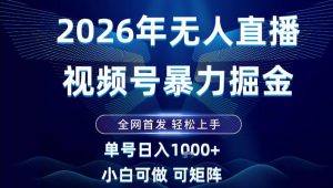2026最新视频号无人直播掘金，全网首发，小白可以玩，长期稳定日入1k+【揭秘】-天韵资源网