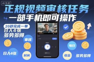 正规视频审核任务，一部手机即可操作，20秒完成一单，日入4张，多劳多得【揭秘】-天韵资源网