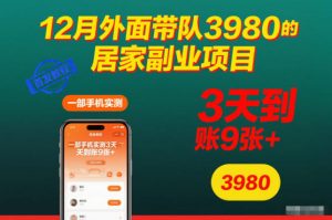 12月外面带队3980的居家副业项目,一部手机实测3天到账9张+,首发教程【揭秘】-天韵资源网