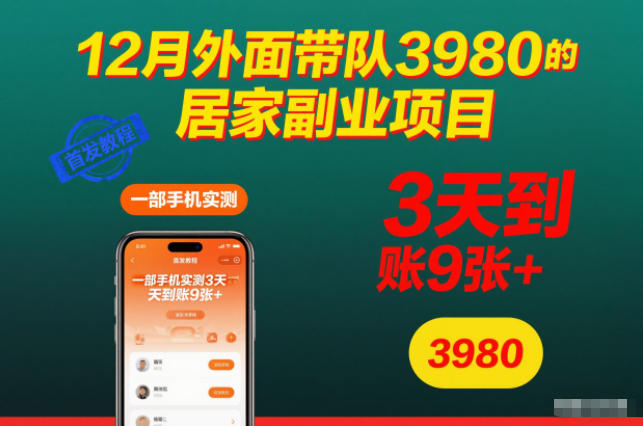 12月外面带队3980的居家副业项目,一部手机实测3天到账9张+,首发教程【揭秘】-天韵资源网