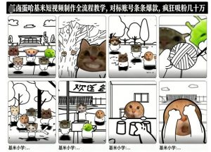 卤蛋哈基米短视频制作全流程教学，条条爆款，疯狂吸粉几十万-天韵资源网