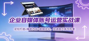 企业自媒体账号运营实战课:定位打造+ 爆款内容+数据优化,快速提升账号权重-天韵资源网
